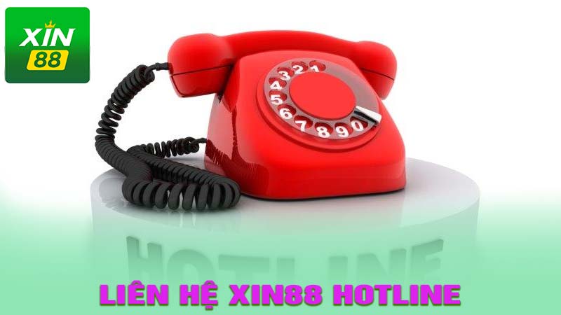 Liên hệ qua hotline